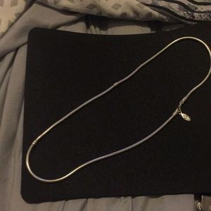 Pandora necklace